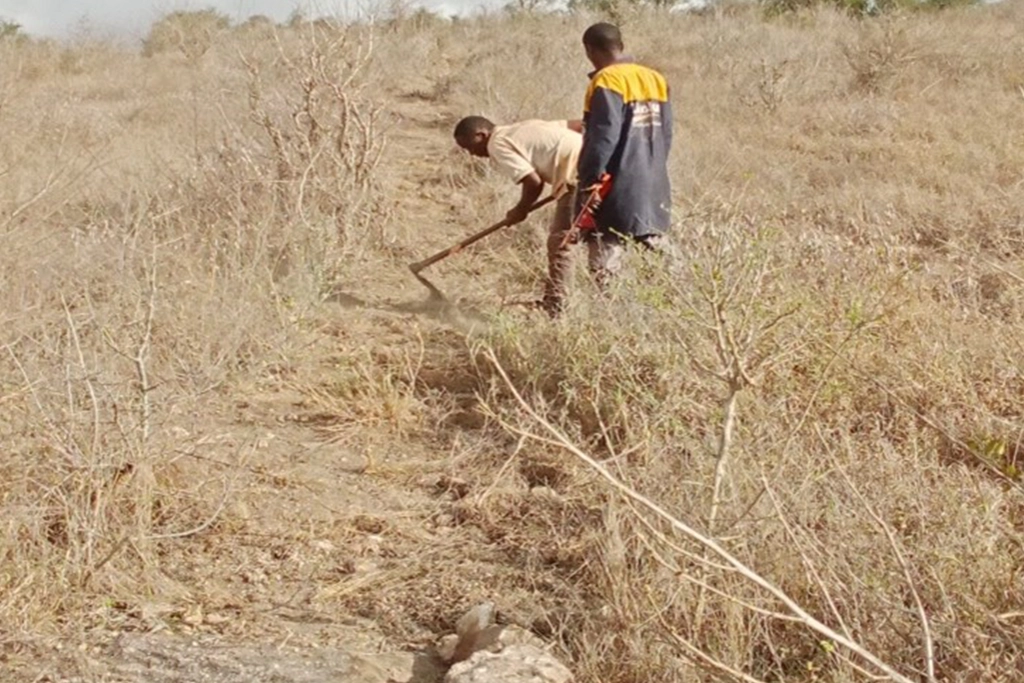 Architectural Detail